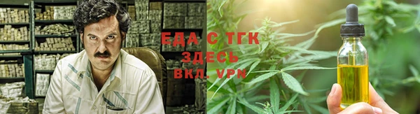 сатива Новозыбков