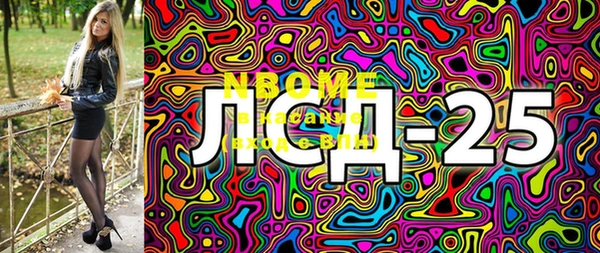 сатива Новозыбков