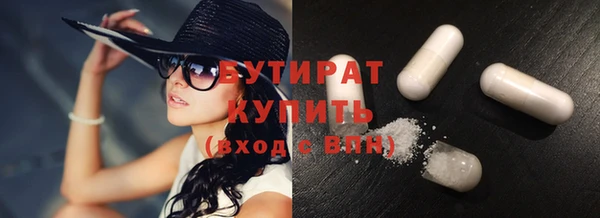 сатива Новозыбков