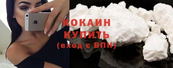 сатива Новозыбков