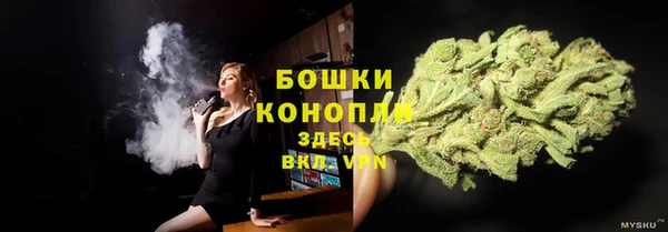 прущая мука Няндома