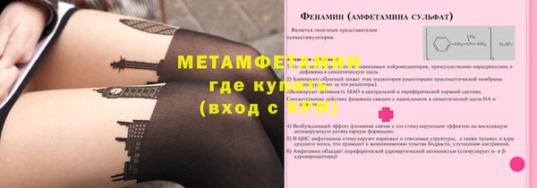 сатива Новозыбков