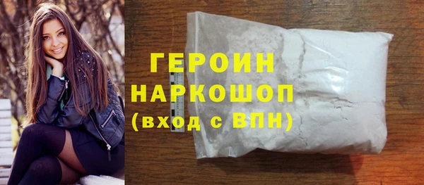 сатива Новозыбков