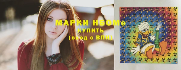 сатива Новозыбков
