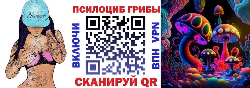 Галлюциногенные грибы Psilocybe Иннополис